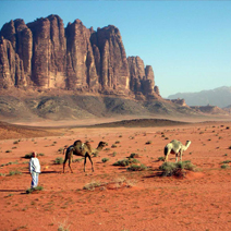 Two day Tours and Trips to Petra & Wadi Rum from Sharm el Sheikh